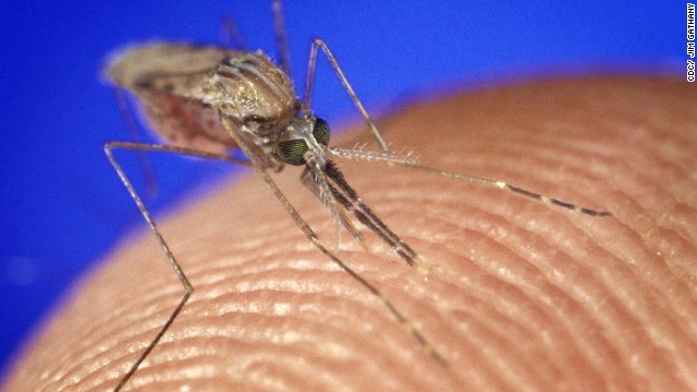 豪雨と洪水でマラリアを媒介する蚊が大量に発生＝CDC/JIM GATHANY提供