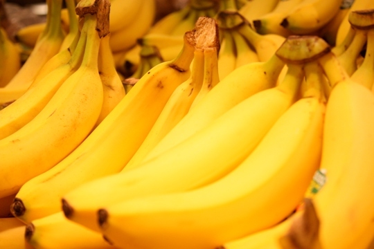 サルにバナナを与えるのは不健康？