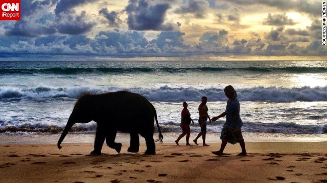 タイのプーケットで撮影された写真。観光地の外出禁止令が解除されたという