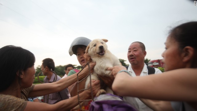 犬肉祭りをめぐる衝突を受けて、人民日報が論説を掲載
