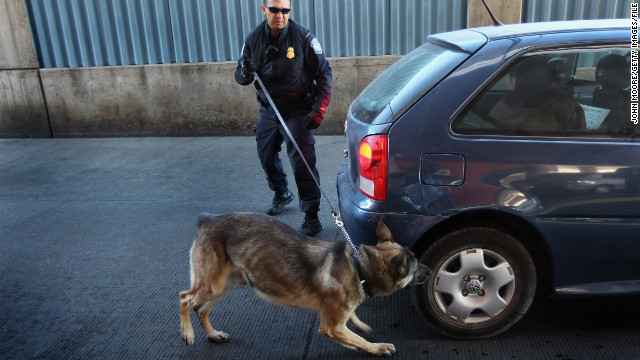 車を調べる麻薬犬