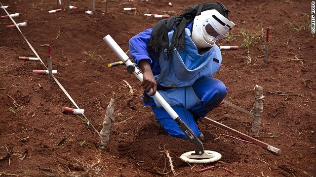 ネズミが地雷を発見した後に人による処理が行われる