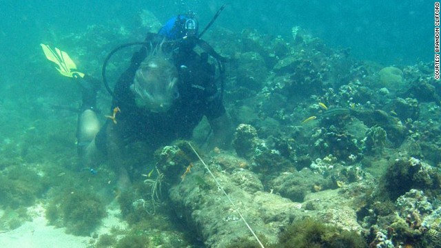 海底探検家バリー・クリフォード氏は見つかった船が「サンタマリア号」だと主張している＝同氏提供