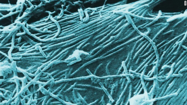 エボラ出血熱の感染者数が１万人を超えた