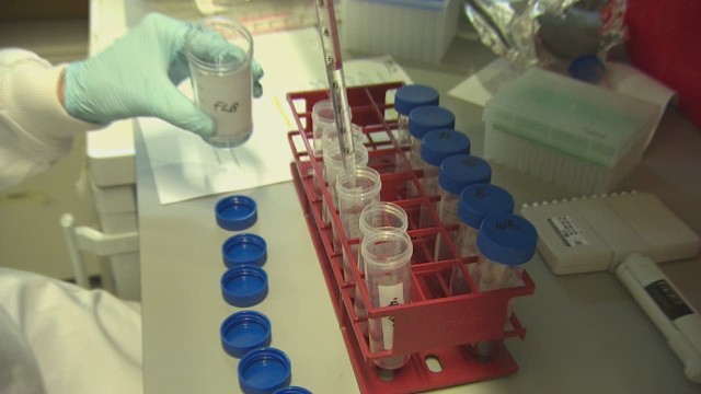 エボラ出血熱のワクチンの開発が進んでいる