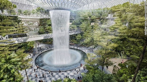 ジュエルの目玉は5階建ての高さの空間に何千本もの樹木やシダ類を配した「フォレスト・バレー(森の谷)」