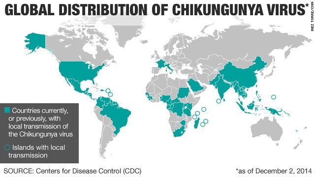 感染症のチクングニア熱が米大陸で流行している