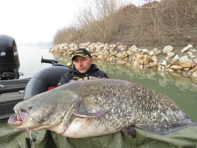 これよい大きなナマズが釣られたこともある=Sportex Italia/Majora提供