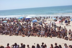 １．５キロのビーチにコーギー５００匹が集まった
