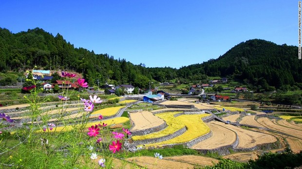 ２３．井仁の棚田（広島）＝HIROSHIMA PREFECTURE/JNTO提供