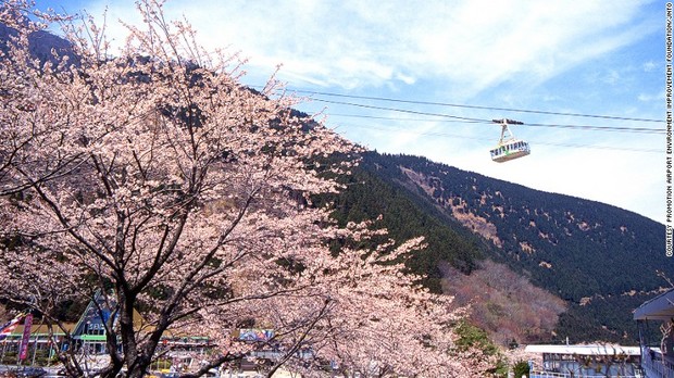 ６．近鉄・別府ロープウェイ（大分）＝PROMOTION AIRPORT ENVIRONMENT IMPROVEMENT FOUNDATION/JNTO提供