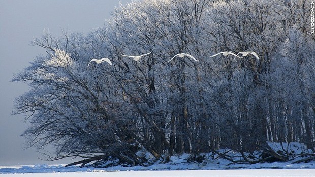 ２２．屈斜路湖（北海道）＝HOKKAIDO/JNTO提供