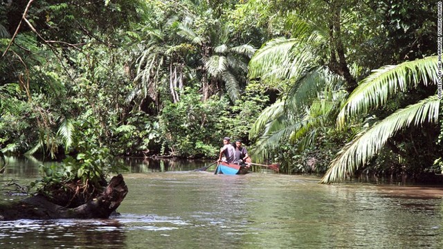 ニカラグア湖の南端に位置するソレンティナメ諸島には、さまざまな鳥や植物が生息している＝THE NICARAGUA TOURISM BOARD提供