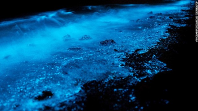 夜光虫の発光はホバート周辺でよく見かける現象だが、これほど集中するのは珍しいという (C) Jo Malcomson/Blackpaw Photography