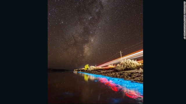 夜光虫が大量繁殖すると夜間に発光現象が見られるという (C) Jo Malcomson/Blackpaw Photography