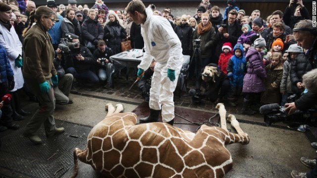 昨年２月には動物園でキリンの解体の様子が一般公開され、物議をよんだ