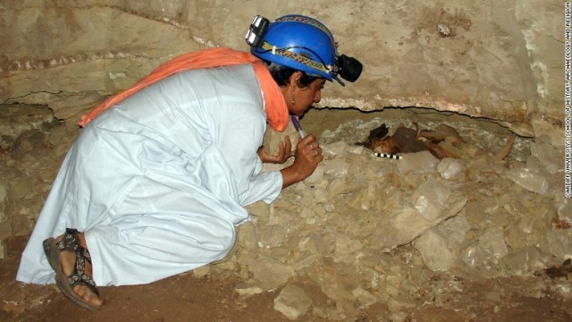 ミイラ化した犬の死骸を調査する研究者＝カーディフ大学