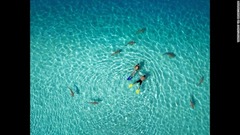 「自然」１位はサメにかこまれてシュノーケルに興じる人々＝TAHITIFLYSHOOT/DRONESTAGRAM