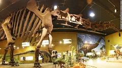 ワイオミング恐竜センター（米ワイオミング州）