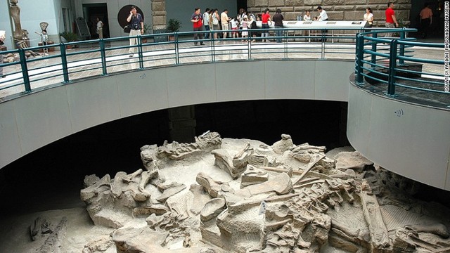 自貢恐竜博物館（中国、自貢）