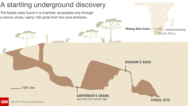 洞窟の奥深くから発掘された　Source:National Geographic
