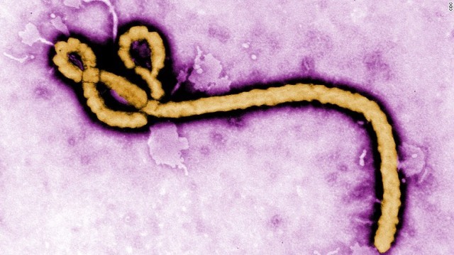 リベリアでエボラの新たな感染が確認された