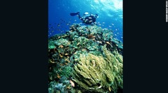 コモド国立公園周辺の海には１０００種以上の魚と３５０種以上の造礁サンゴが息づく＝フローレス島観光局