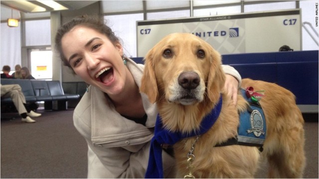 ユナイテッド航空が「癒し犬」を導入