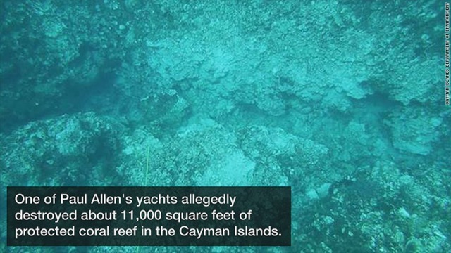 約１０００平方メートルにわたる範囲のサンゴ礁が破壊されたという＝ケイマン諸島環境省