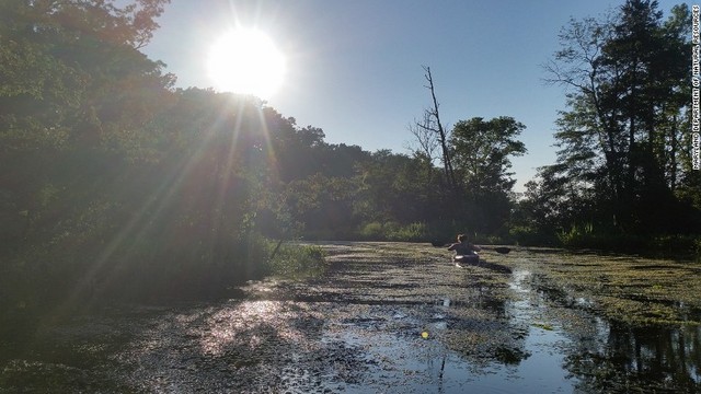 Cnn Co Jp 写真特集 幽霊船団 で自然が復活 米マローズ湾 10 10