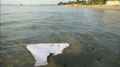 モザンビークで発見の残骸　「不明マレーシア機の可能性高い」