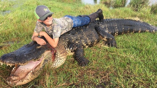 フロリダで捕まった怪物級のワニ＝Blake Godwin, Outwest Farms