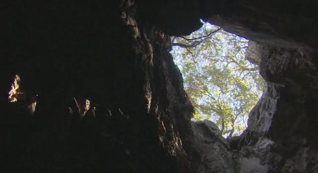 新種の骨化石が見つかったライジングスター洞窟