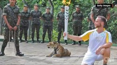 聖火リレーのイベント会場でジャガー脱走、やむなく射殺