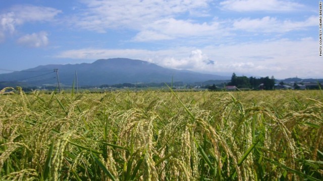 １８５０年創業の末廣酒造（福島）が所有する稲田＝同社提供