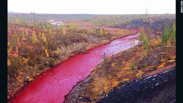 赤く染まった川の様子