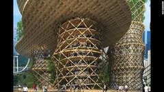 竹の建造物は国連でも気候変動対策として認知されつつある