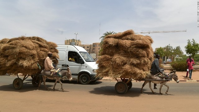 ニジェールの街中でわらを運ぶロバ