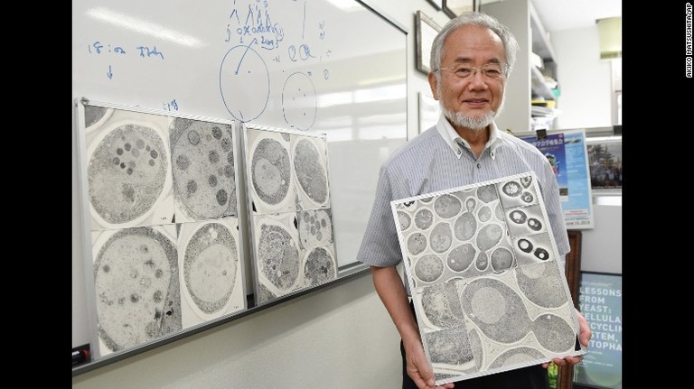 ノーベル医学生理学賞を受賞した東京工業大の大隅良典栄誉教授