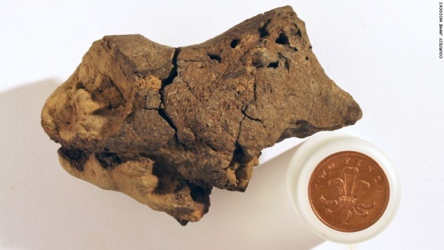発掘した化石が恐竜の脳だったことが判明したという
