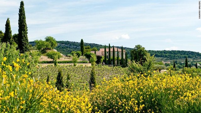 5.カントリー・ウォーカーズが提供する南仏プロヴァンスのツアーでは、花畑を散策した後、職人が作ったチーズと地元のワインが味わえる