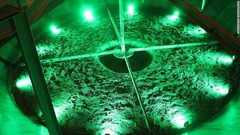 放射性物質の処理が行われていた区画はアバンギャルドな緑のライトに照らされている