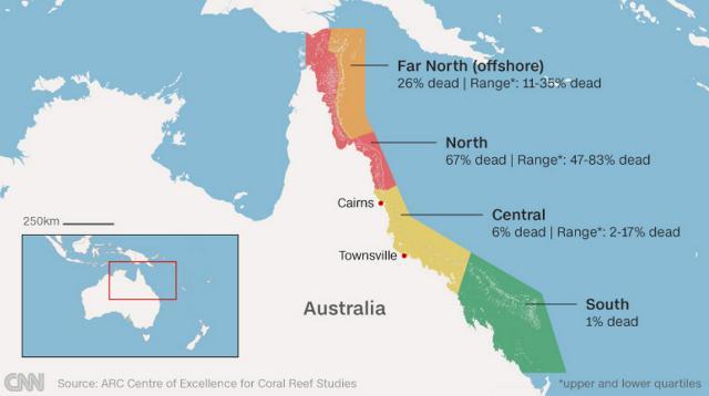 グレートバリアリーフの北側７００キロの領域では約６７％のサンゴが死滅