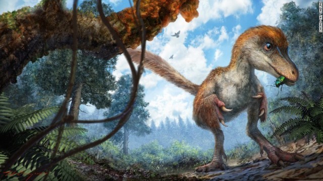 肉食でありながらスズメほどの大きさだったというコエルロサウルス