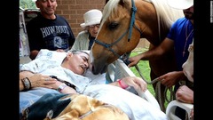 ５月２１日：米サンアントニオの病院で退役軍人のロベルト・ゴンザレスさんに鼻をなすりつける馬。ゴンザレスさんは最愛の馬と一緒に最期の時を過ごしたいとの希望を表明していた