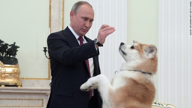 プーチン大統領と秋田犬の「ゆめ」