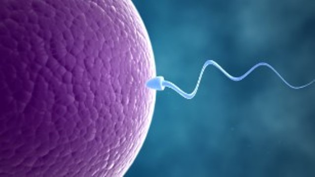 不妊治療を受けた女性２６人の体外受精に他人の男性の精子が使われていた可能性が浮上