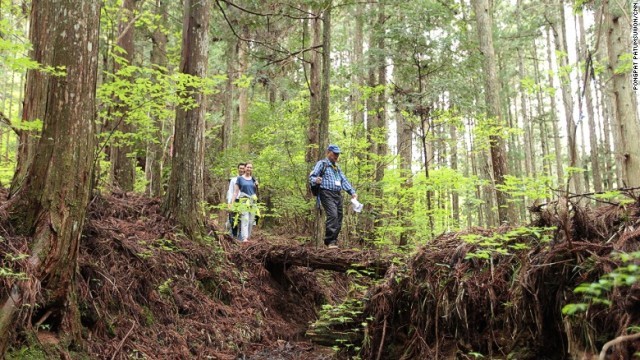 静かな森林の中で、ハイキングが楽しめる