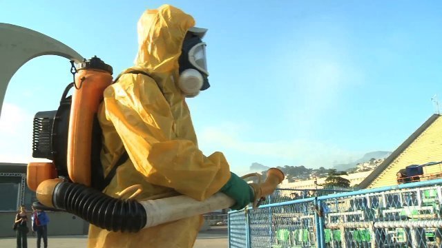 ブラジルなどで蚊を媒介にしたジカ熱が流行