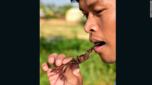 タランチュラを食べるカンボジア人の通訳。体の部分が一番おいしいという